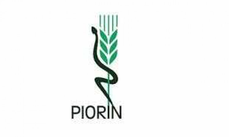 Poprawa zdrowotności polskich ziemniaków dzięki działaniom PIORIN